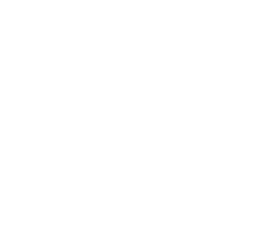 Fi