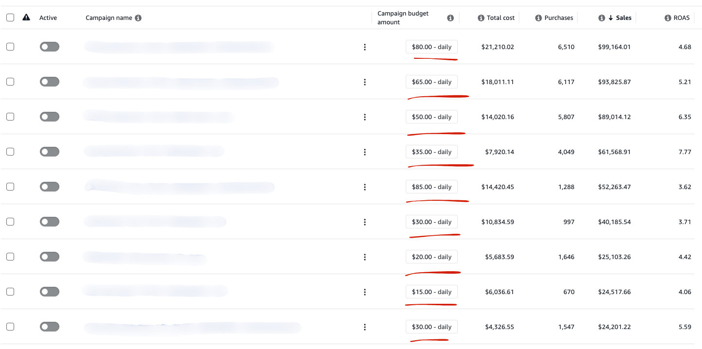 Campaign budgets capped at $15–$85/day despite 3.6–7.8× ROAS — profitable demand left unspent.